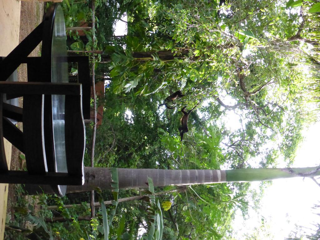 Mundo Milo Eco Lodge Paraíso Exterior foto